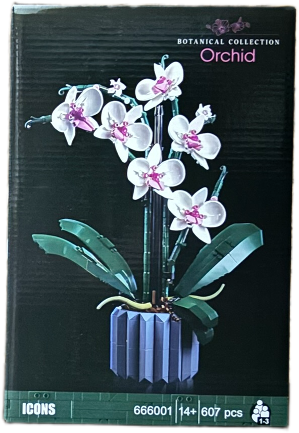 Orchid