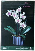 Orchid