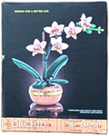 Mini Orchid