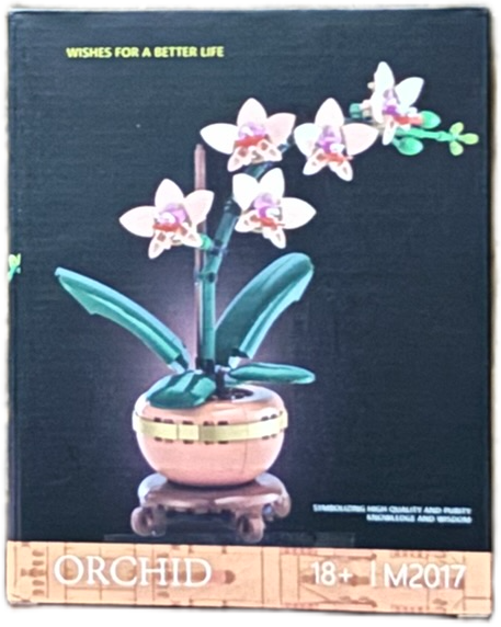 Mini Orchid