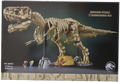 Dinosaur Fossils -  Tyrannosaurus rex